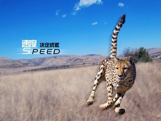 淘宝详情页视频要求有哪些？