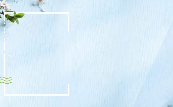 浅色小清新白色花朵淘宝店铺背景图片素材